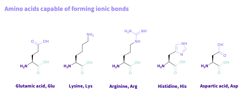 <p><span>Really important in all drug receptor and drug enzyme interactions</span></p><p style="text-align: left;"><span>Allow strong binding but also dissociation</span></p><p style="text-align: left;"><span>STRONG BUT CAN BE REVERSED </span></p>