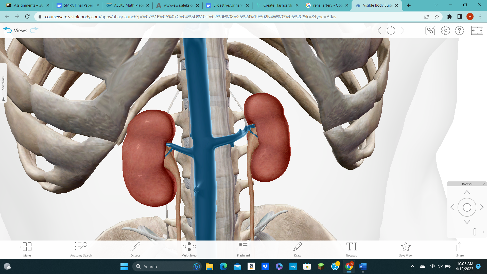 knowt flashcard image