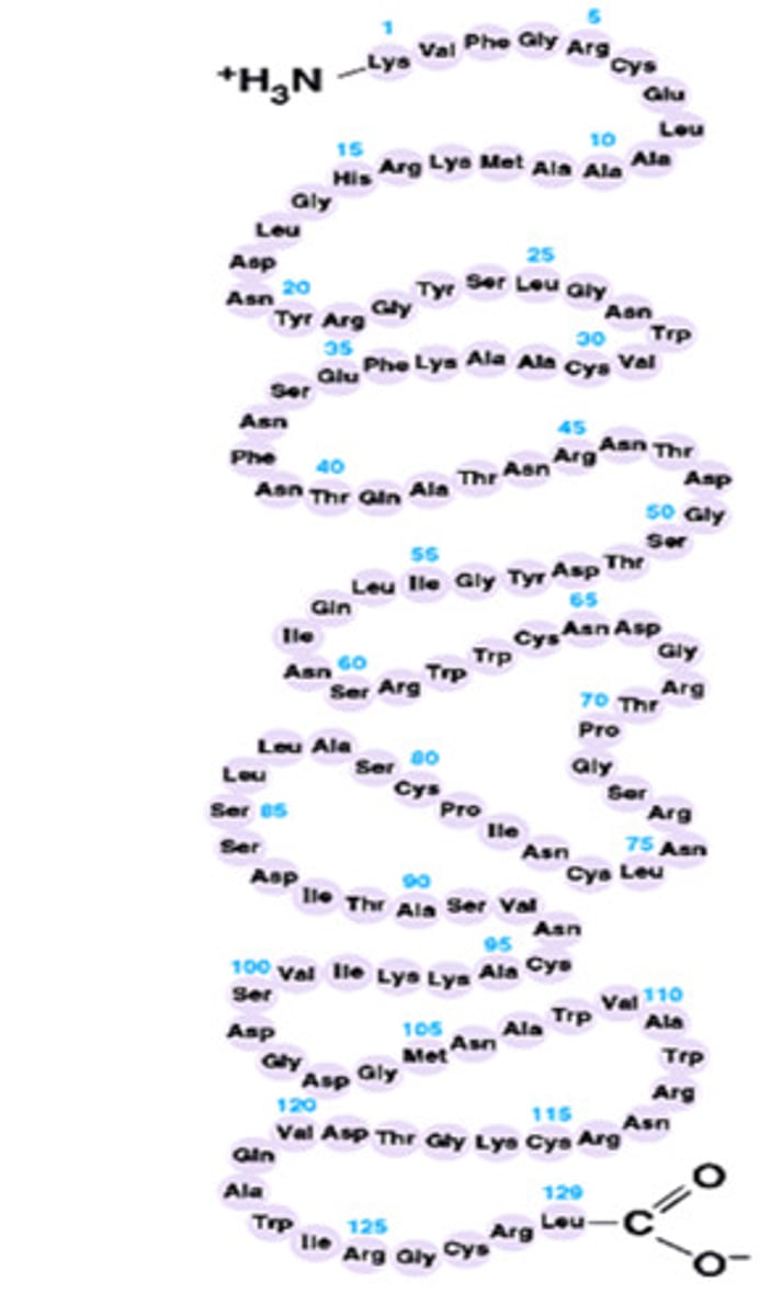 <p>a class of biomolecules that contains carbon, hydrogen, oxygen, and nitrogen; made up of amino acids; make structure of cell membranes, needed for repair and growth; includes enzymes</p>