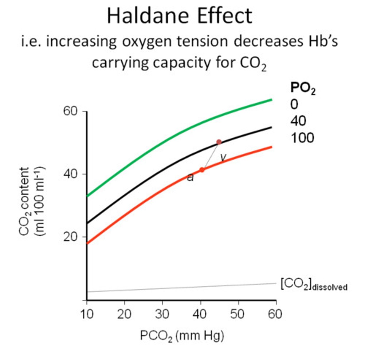 <p>Oxygenation of blood in the lungs displaces carbon dioxide from hemoglobin which increases the removal of carbon dioxide.</p>