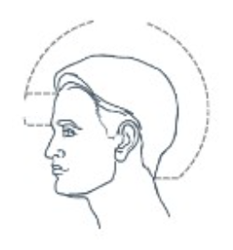 <p>Distance between the anterior and posterior hairlines is</p>