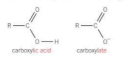 <p>redox - with metals</p><p>and neutralisation - with bases </p><p>they form carboxylate salts</p>