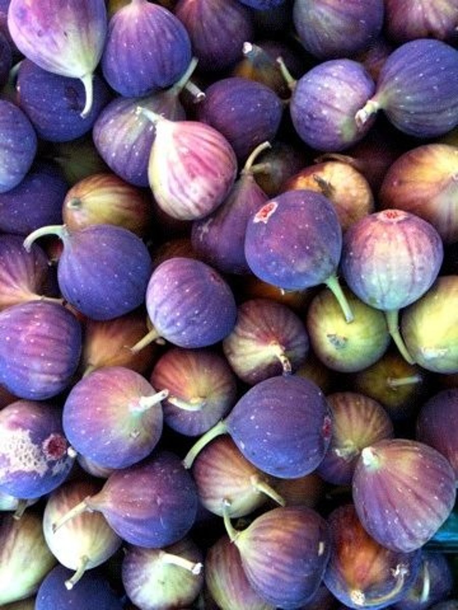 <p>Carry baskets of figs, which were believed to cleanse the salt water.</p>