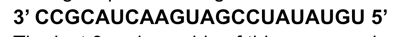 <p>mRNA sequence below includes the END.. not the bgeining of the coding sequence of a gene, the last 3 amino acids of this gene product are</p>