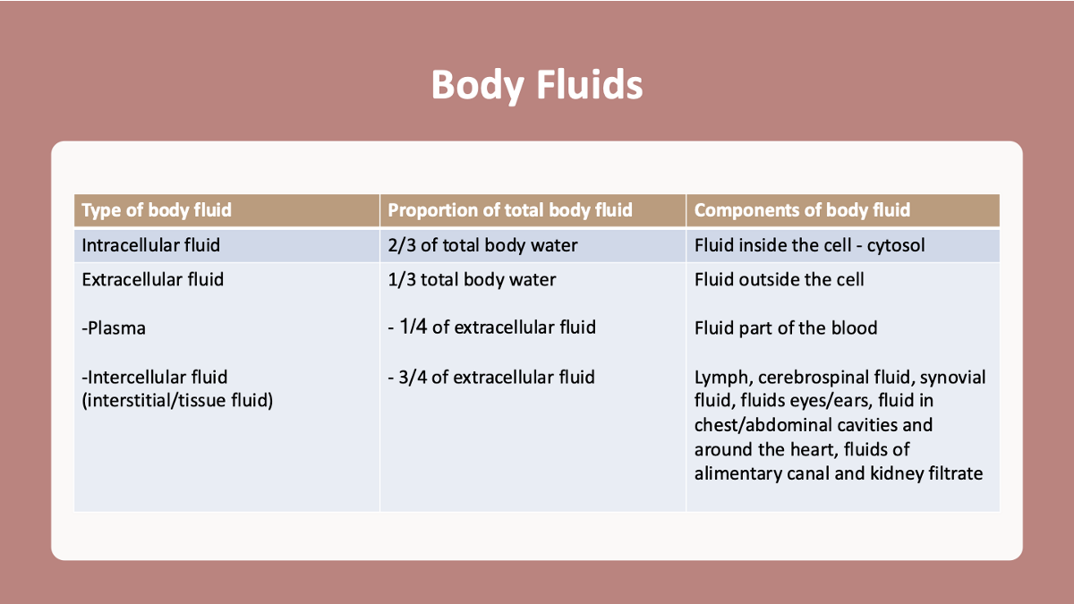 <p>total volume = approx 42L - approx 60% of body weight</p><ul><li><p>intracellular fluid/cytosol compartment = approx 28L</p></li><li><p>extracellular fluid compartment = approx 14L</p><ul><li><p>intravascular fluid (plasma) = approx 3L</p></li><li><p>interstitial fluid = approx 10.5L</p></li><li><p>Transcellular fluid = approx 0.5L</p></li></ul></li></ul><p></p>