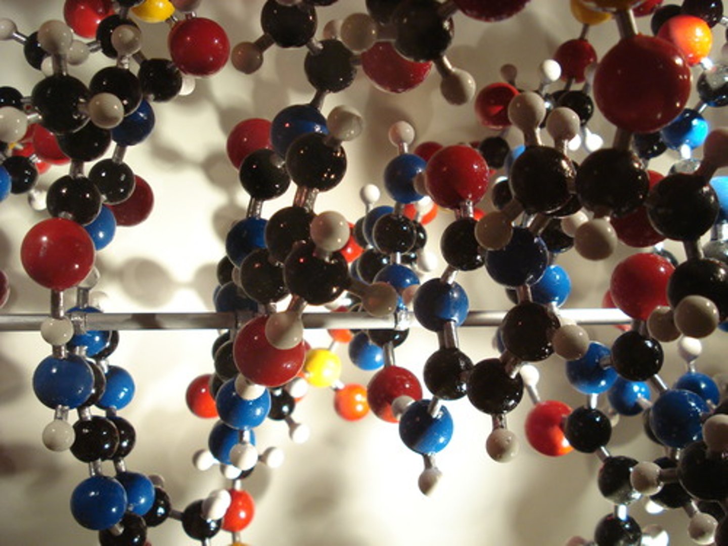 <p>atom, molecule, macromolecule, organelle, cell, tissue, organ, organ system, organism</p>