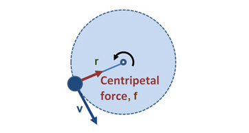 <ul><li><p>A force keeping a body moving in uniform circular motion</p></li><li><p>Always perpendicular to the velocity</p></li><li><p>Examples: gravitational attraction, tension in a string, friction for a car in a bend</p></li><li><p>F = mv²/r = mω²r</p></li></ul><p></p>