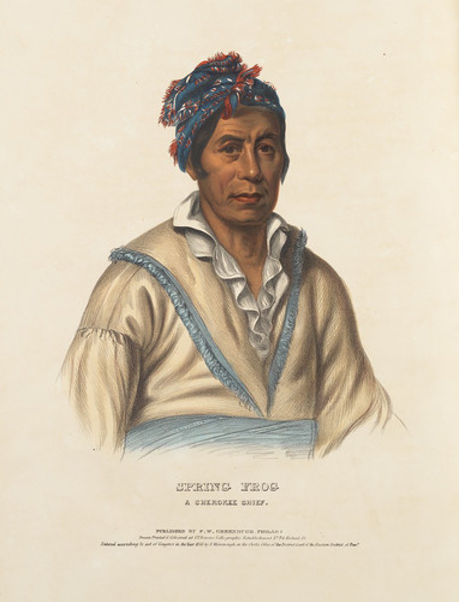 <p>A Native American people originally from the southeastern United States (Georgia, North Carolina, Tennessee, Alabama) who were forcibly relocated to Indian Territory (modern-day Oklahoma) during the Trail of Tears.</p>