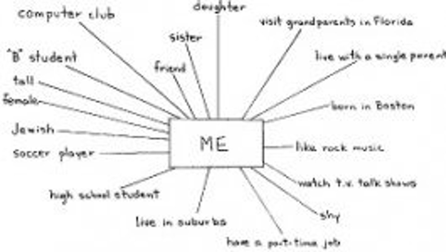 <p>(D) The individual components of self-concept that relate to groups that someone belongs to.</p>