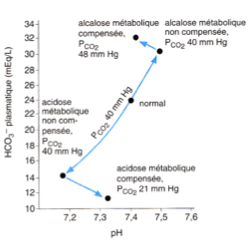 <ul><li><p class=""><strong>pH normal = 7,4</strong></p></li><li><p class=""><strong>[HCO₃⁻] plasmatique normale = 24 mmol/L</strong></p></li><li><p class="">Cette relation correspond à une <strong>PCO₂ artérielle de 40 mmHg</strong>.</p></li><li><p class="">Elle est représentée sur un schéma de référence où chaque PCO₂ a une <strong>courbe spécifique et parallèle</strong>.</p></li></ul><p></p>