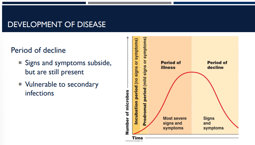 <p>Describe the period of decline in the development of disease.</p>