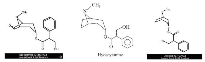 <p>Fill in the blank…</p><p>The ( ) atropine, L-hyoscyamine, and scopolamine, are found in deadly nightshade, henbane, and jimson weed, respectively. They affect the central nervous system by blocking ( ) receptors, causing tachycardia, dry mouth, dilated pupils, and decreased gastrointestinal motility in small doses. Large doses cause confusion, bizarre behavior, hallucinations, and amnesia.</p>