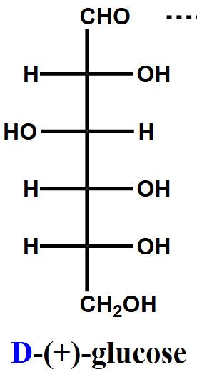 <p>D-Glucose (Glu)</p>