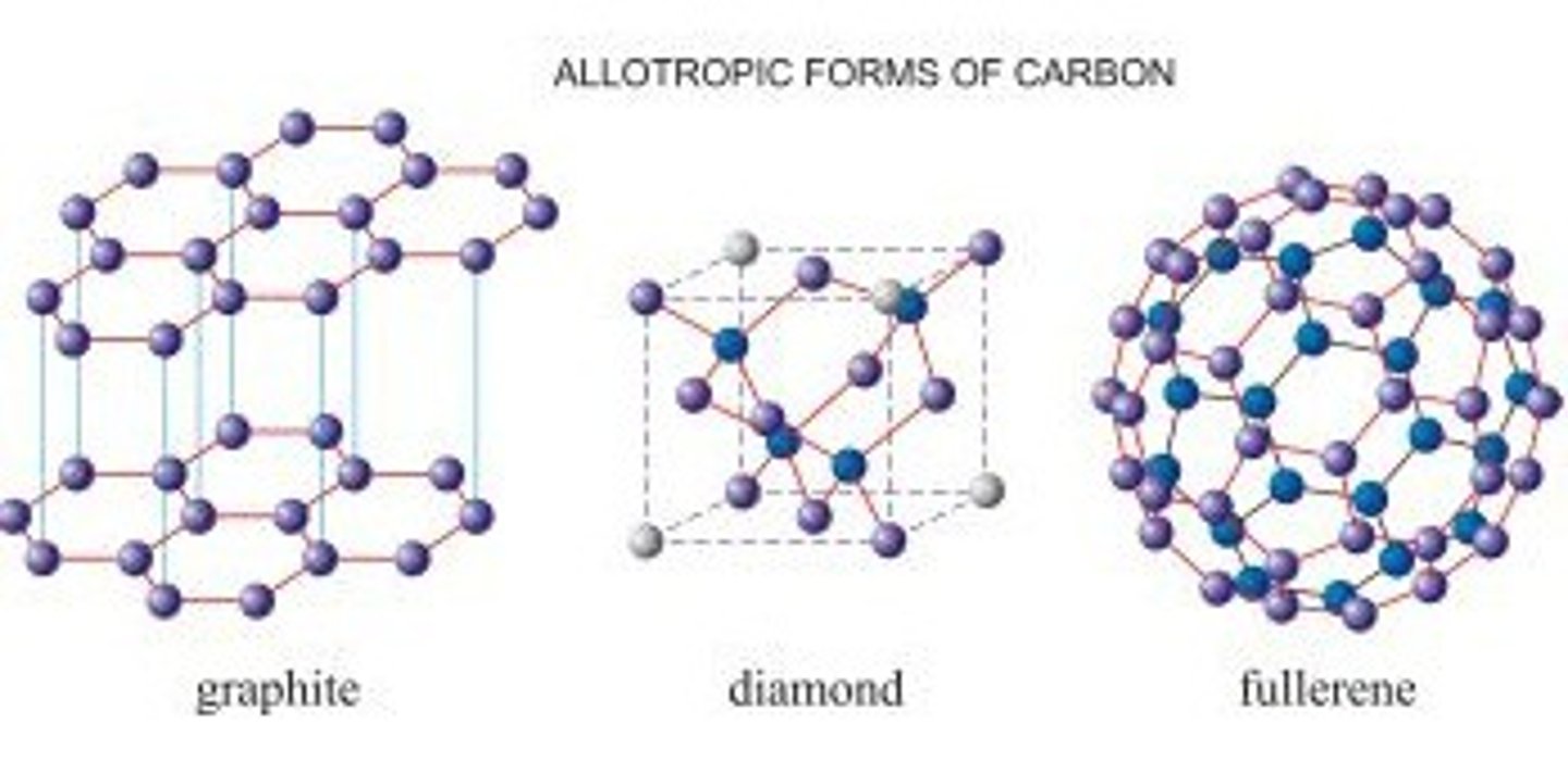 <p>Different forms of the same element</p>