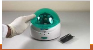 <p>Spin (mini centrifuge)</p>