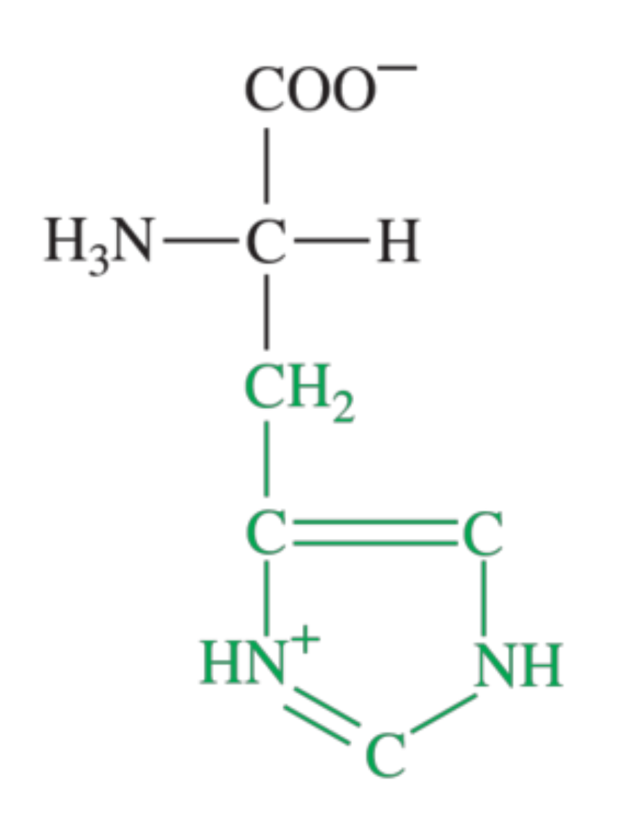 <p>What amino acid is shown in the image?</p>
