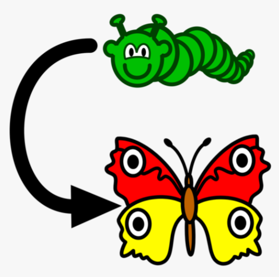 <p>to become</p>