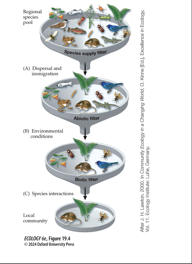 <p>The regional species pool provides…</p>