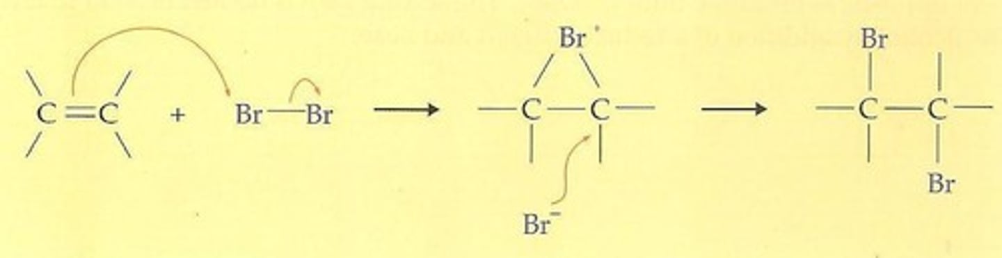 <p>Br2 or Cl2</p><p>nucleophilic opening of a bridged ion by backside attack of Br- or Cl- at carbon, overall anti addition to double bond</p><p>stereospecific</p>