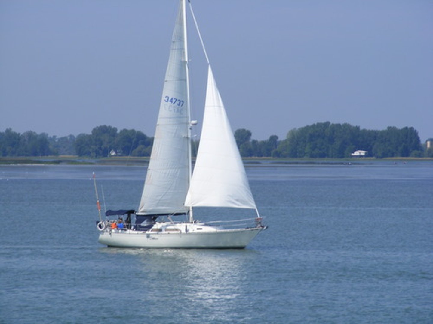 <p>sailboat</p>