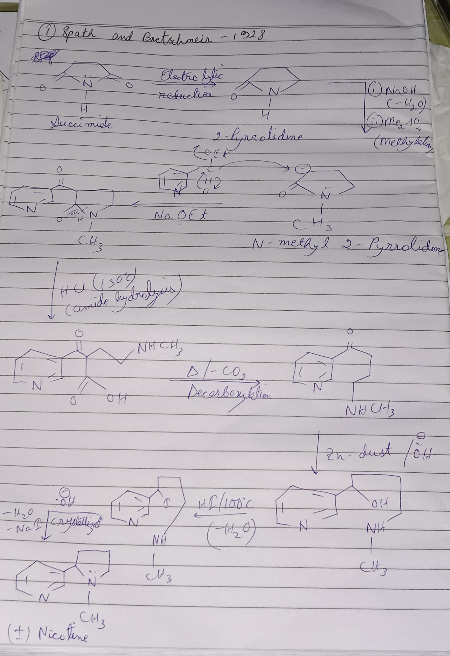 knowt flashcard image