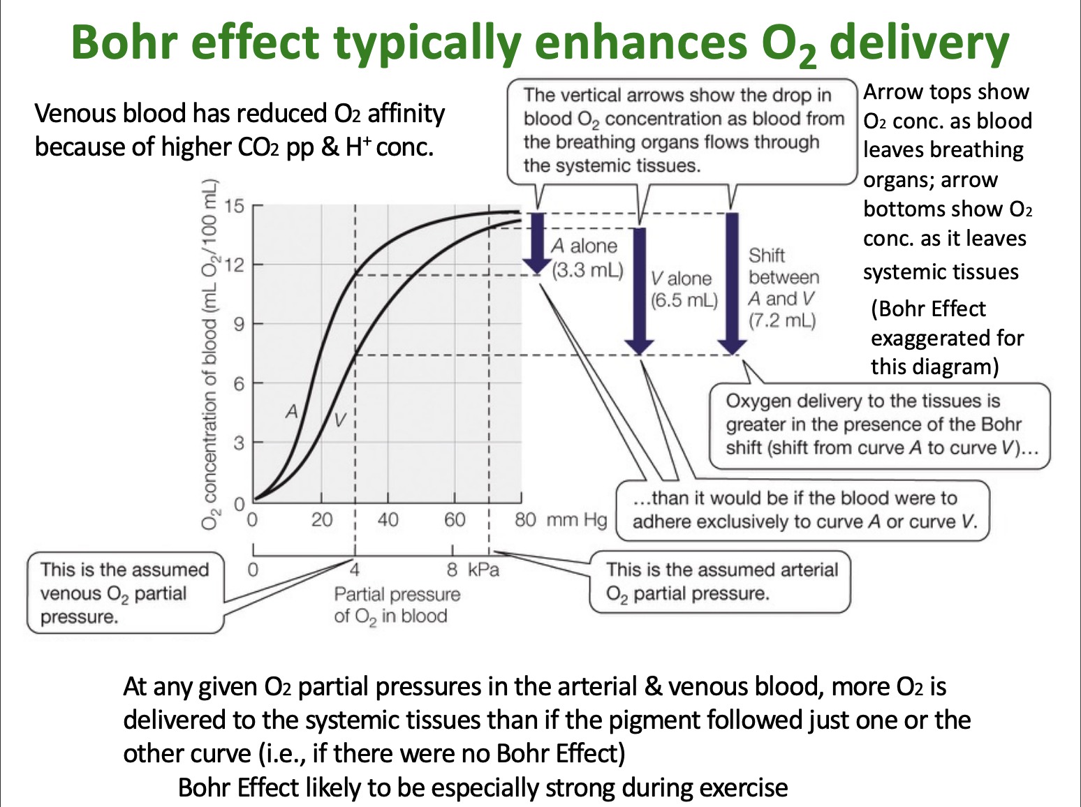 <p>what does this graph show?</p>