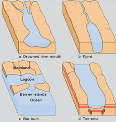 <p><span>These estuaries were formed at the end of the last ice age when rising seawater flooded (or "drowned") existing river valleys. Example: The Chesapeake Bay</span></p>