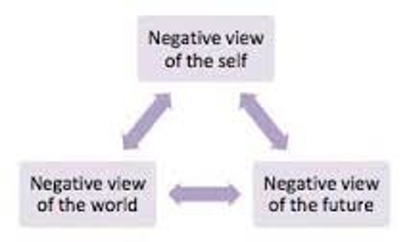 <p>a person's negative thoughts about themselves, their world, and their future (which lead to feelings of depression according to cognitive therapists)</p>