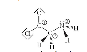 <p>Give the hybridization for the C in H2CCH2.</p><p>A) sp3</p><p>B) sp3d</p><p>C) sp2</p><p>D) sp3d2</p><p>E) sp</p>