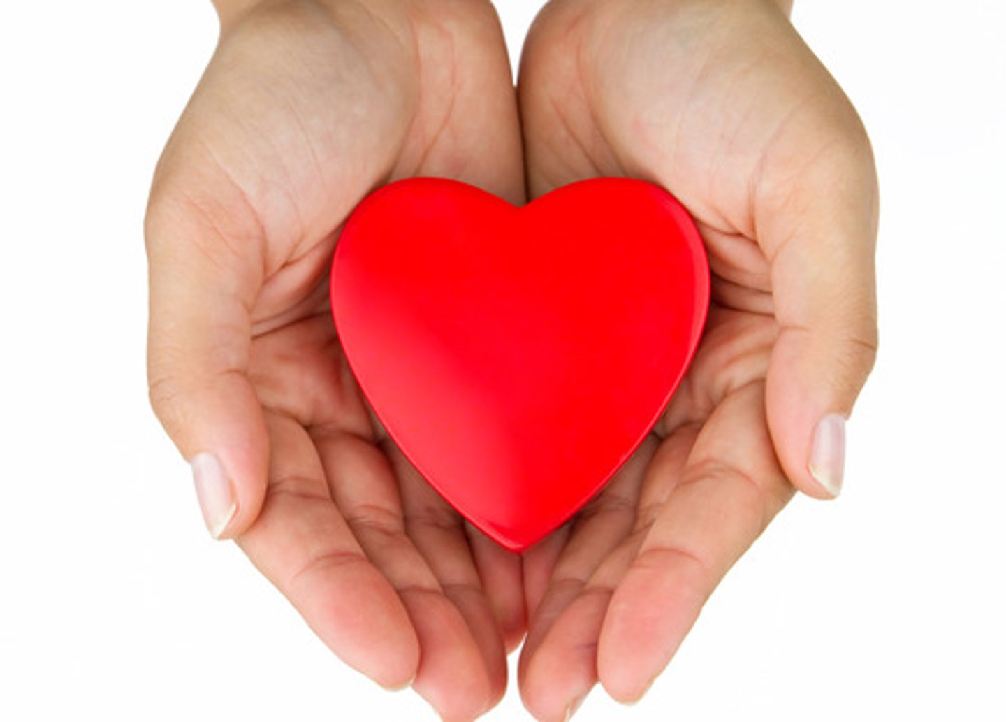 <p>to give your time or effort completely to something: cống hiến, dành cho</p>