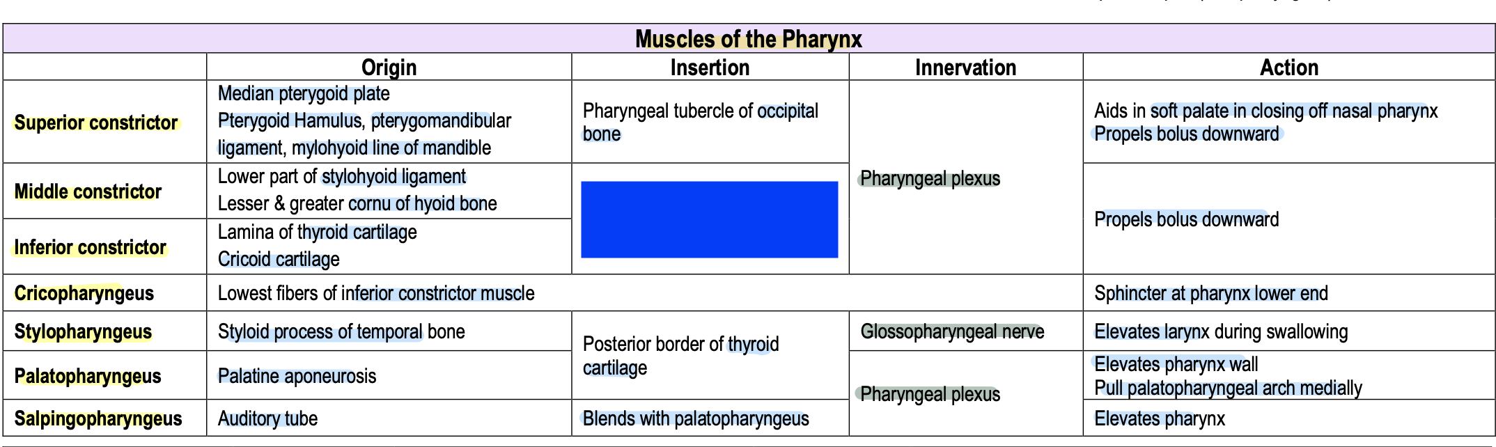 knowt flashcard image