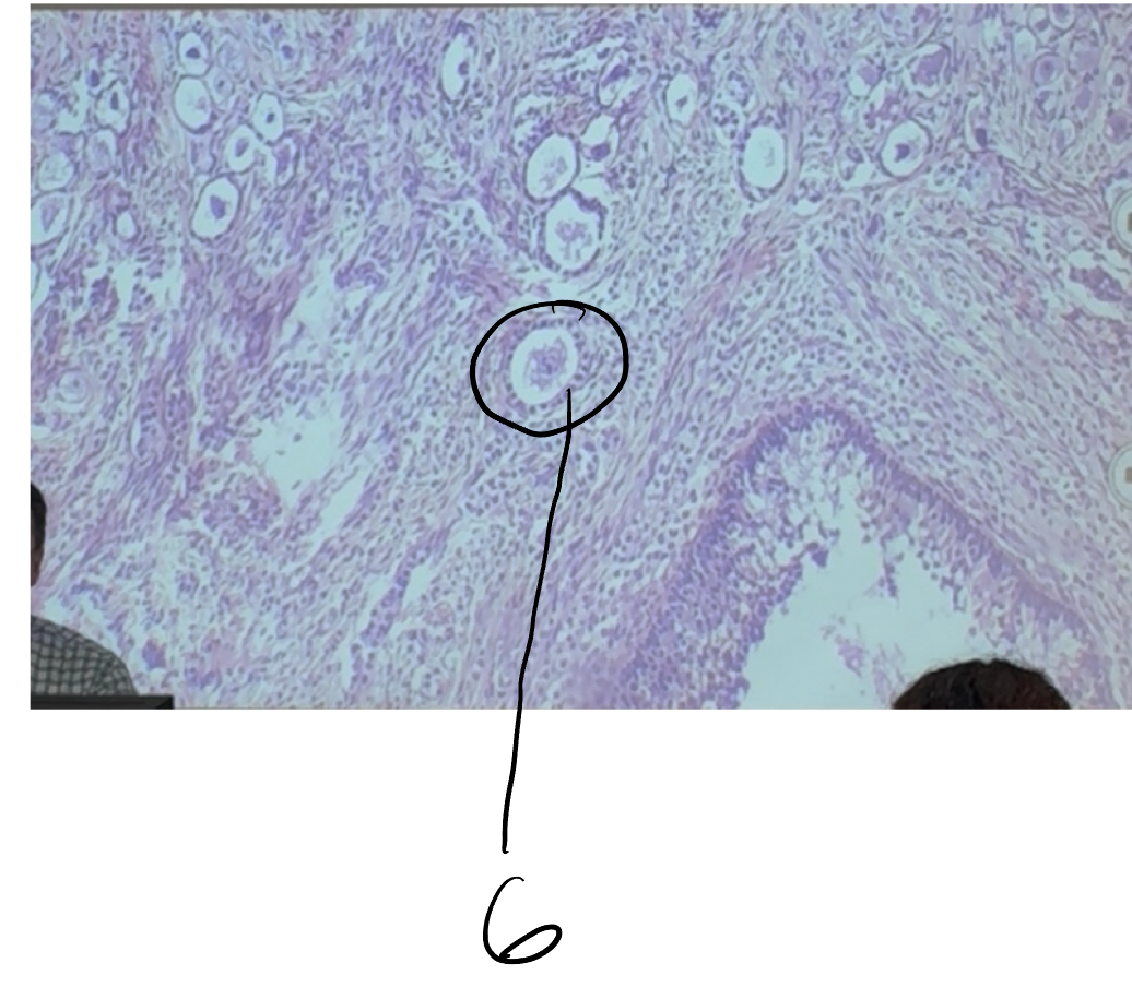 <p>6</p>
