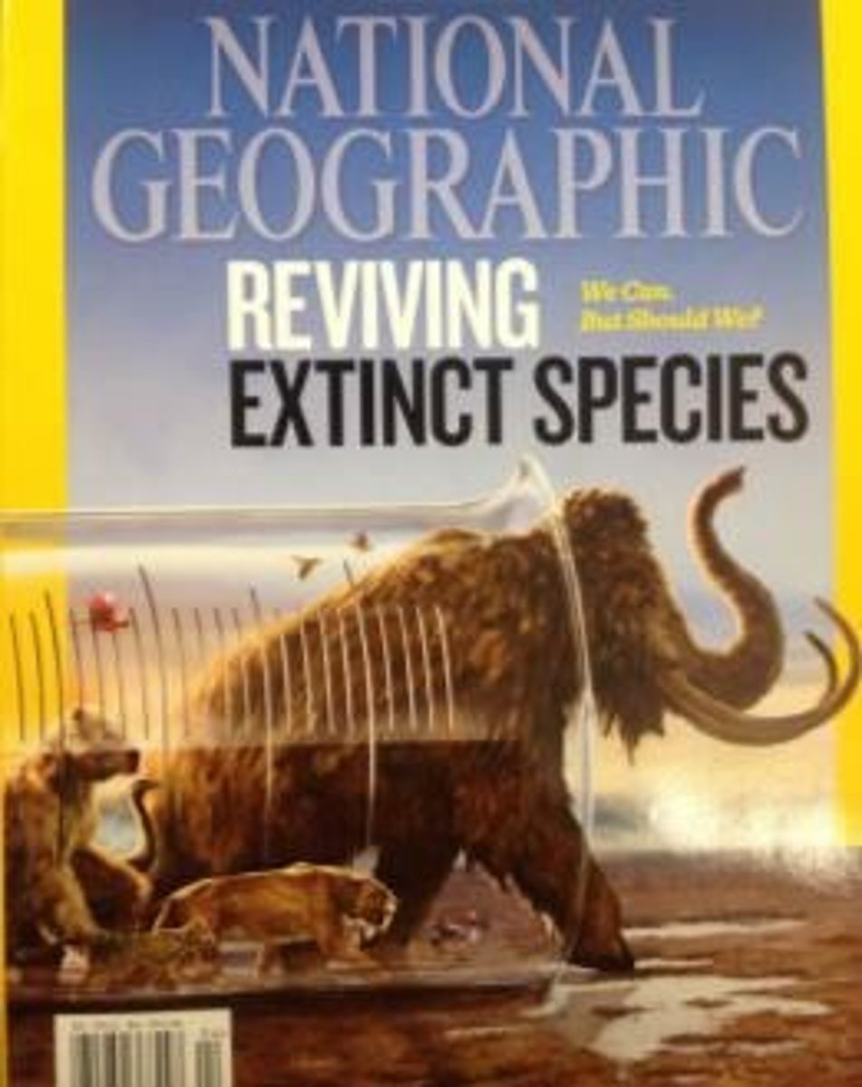 <p>(przywracanie wymarłych gatunków) - The process of bringing extinct species back to life using biotechnology.</p>