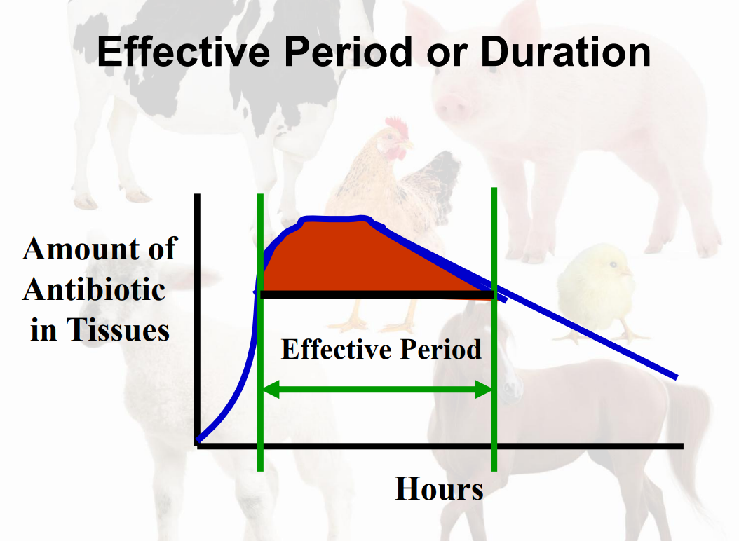 <ul><li><p>Level of the Antibiotic Administered to Animals</p><ul><li><p>How much (mg/lb, iu/lb, ml/lb)</p></li><li><p>How often (# doses/day)</p></li><li><p>How long (# days)</p></li><li><p>Route of administration (oral, subcutaneous, intramuscular, intravenous)</p></li></ul></li></ul><p></p>