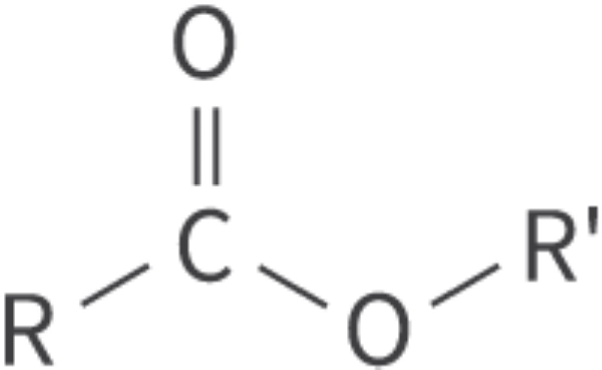 <p>Esters</p>