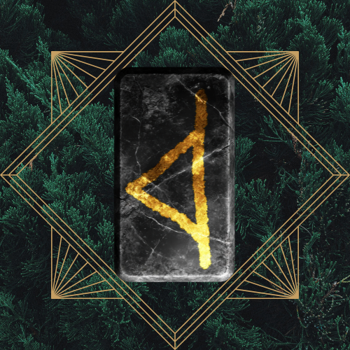 <p>thurisaz - reversed</p>