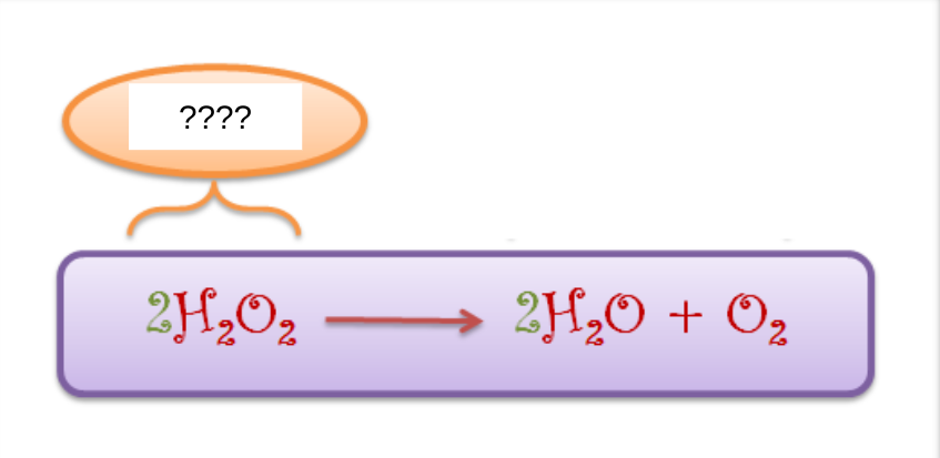 <p>what goes into a chemical reaction</p>