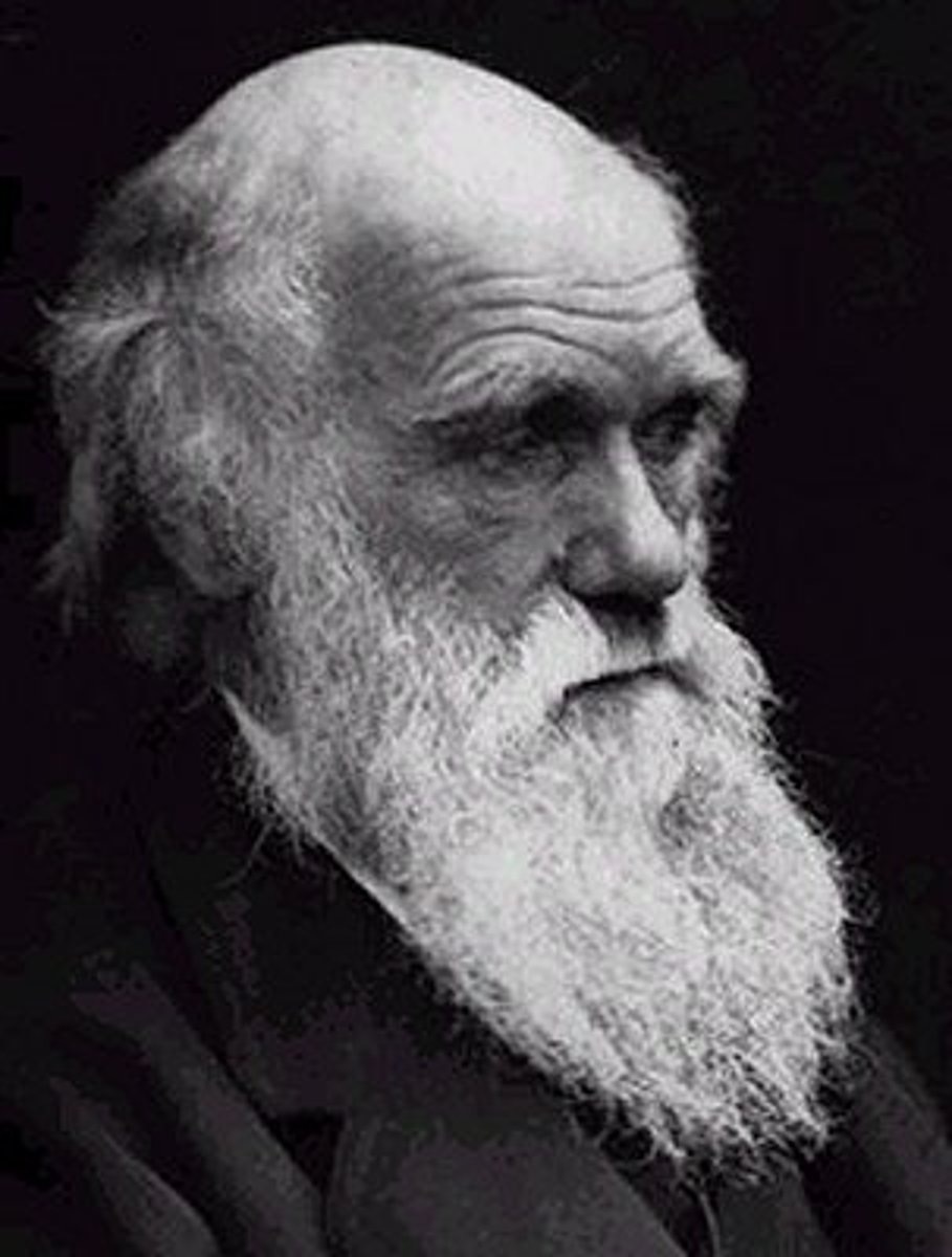 <p>English natural scientist who formulated a theory of evolution by natural selection</p>