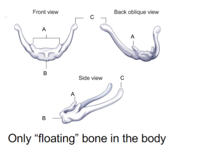 <p>B</p>