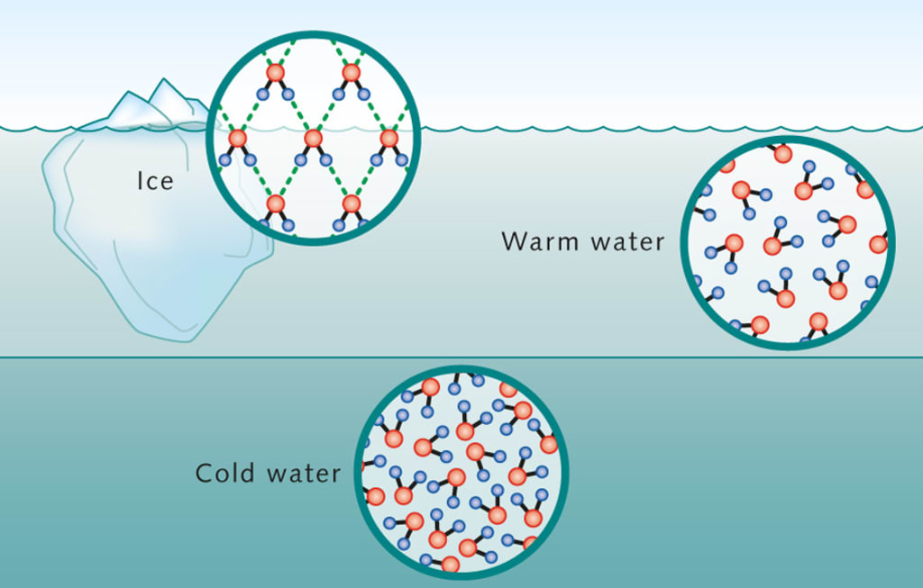 <p>Hydrogen bonds form a stable crystal lattice structure, so the molecules are farther apart</p>