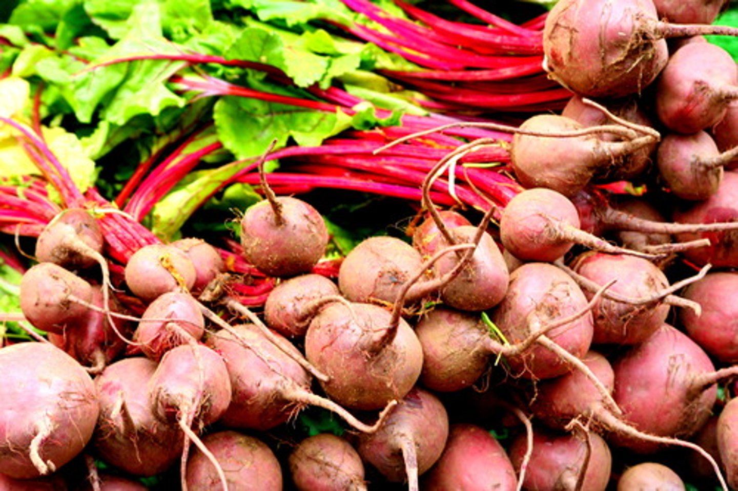 <p>Shalgam (Navalkol)</p>