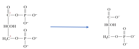 <p>what reaction is happening here?</p>