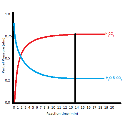 <p>(could also be shown as two separate lines, one being the forward reaction and the other being the reverse reaction, converging into one at the equilibrium state)</p>