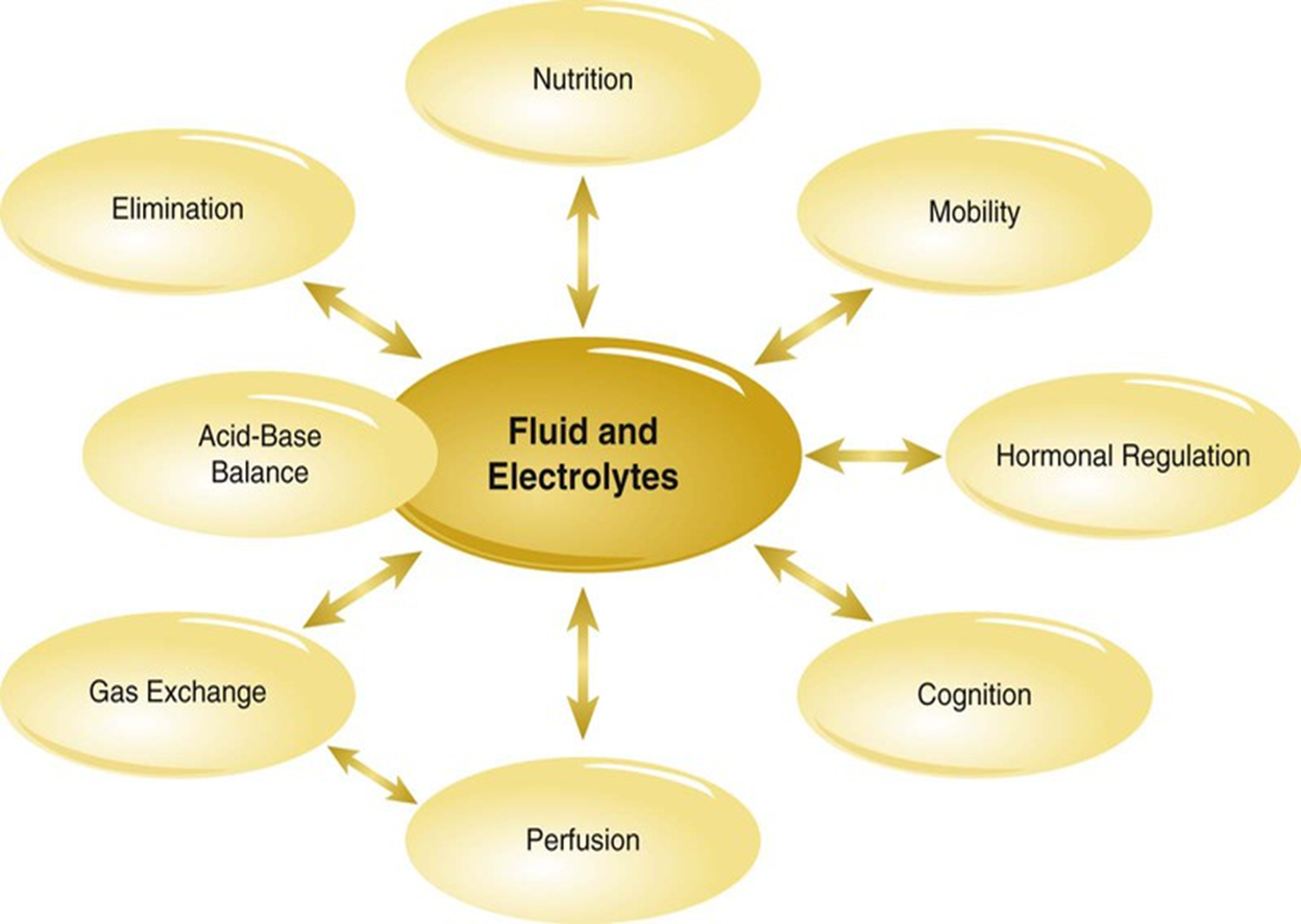 <p>interrelated concepts pic</p>