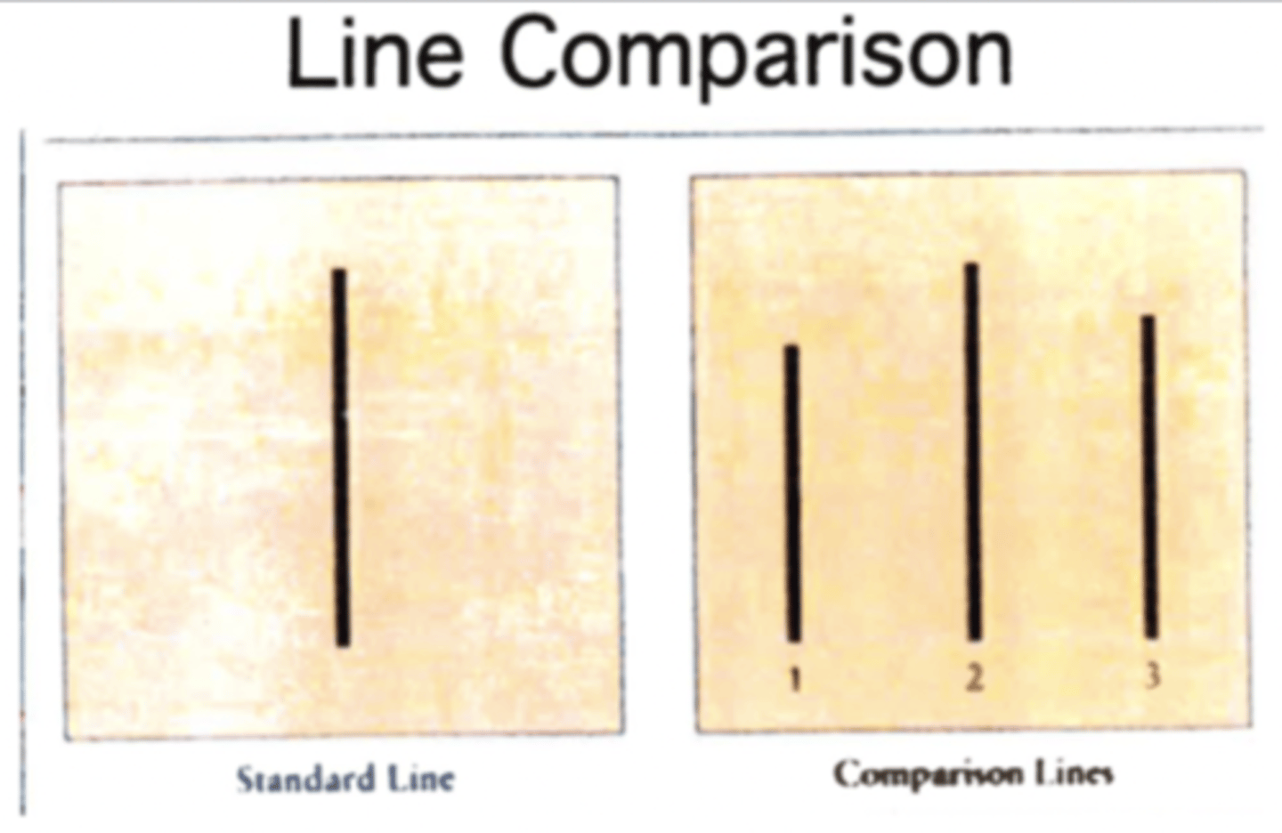 <p>brought people into a lab and used a confederate (person who pretends to be a participant) to give wrong answers to see how it effects the real participant (76% would conform to a wrong answer)</p><p>-if one other person says right answer then they will also say right answer</p>