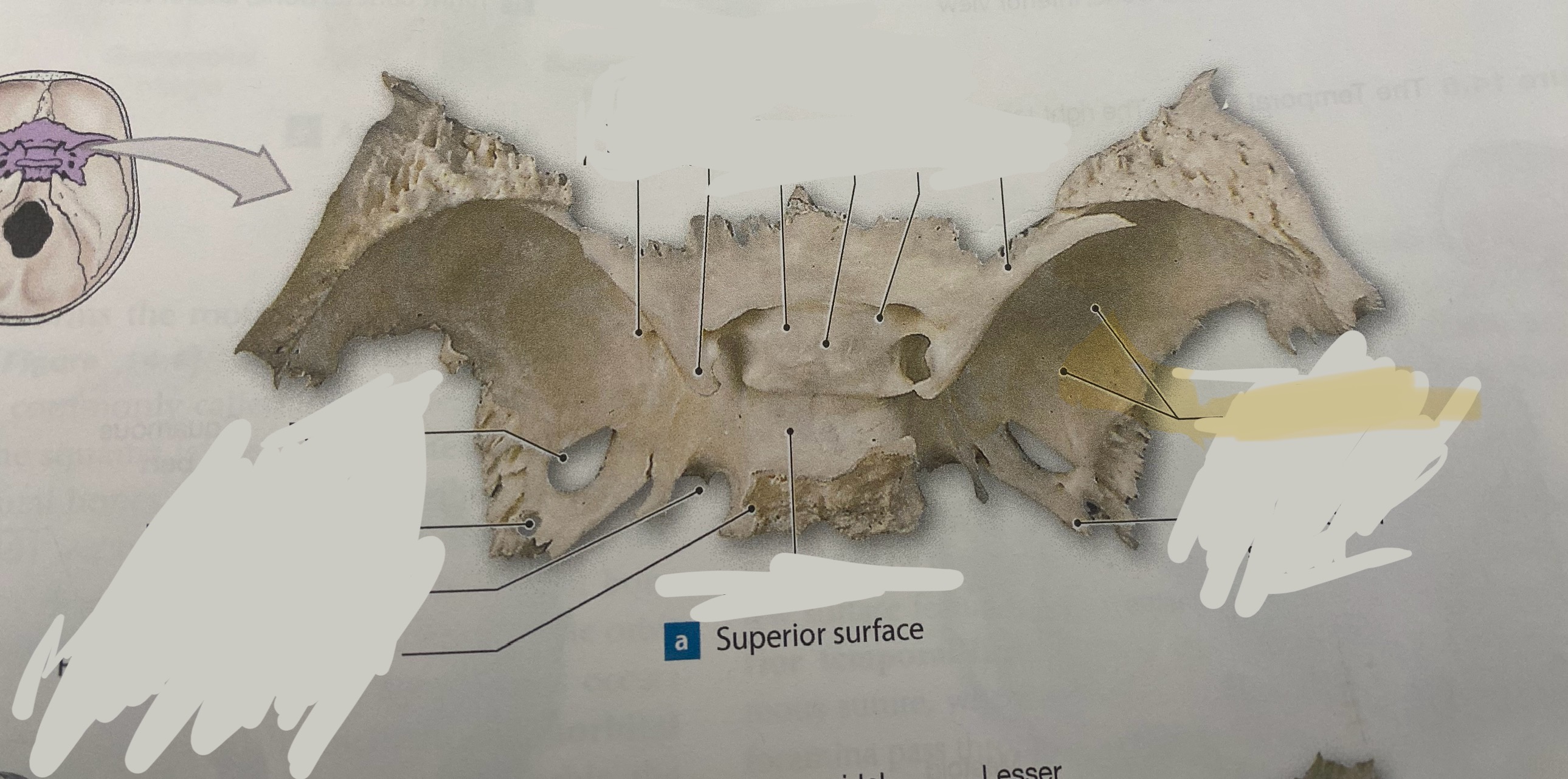 <p>What is the structure? </p>