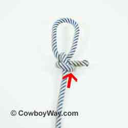 <ul><li><p>Aka Bowstring or lariat knot</p></li><li><p><span style="color: rgb(0, 0, 0)">this knot can be used to make an especially small loop because it is circular instead of oval, like most loops</span></p></li></ul>