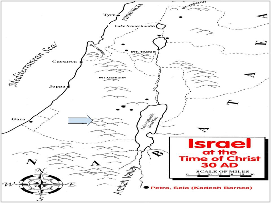 <p>Which region is the arrow pointing to?</p>