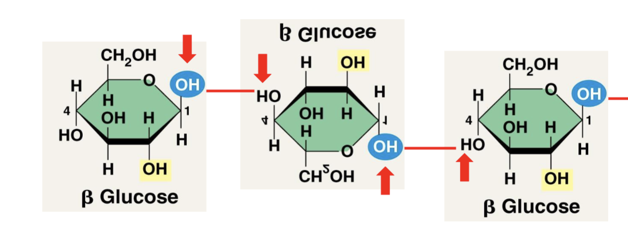 <p>up and downward </p>