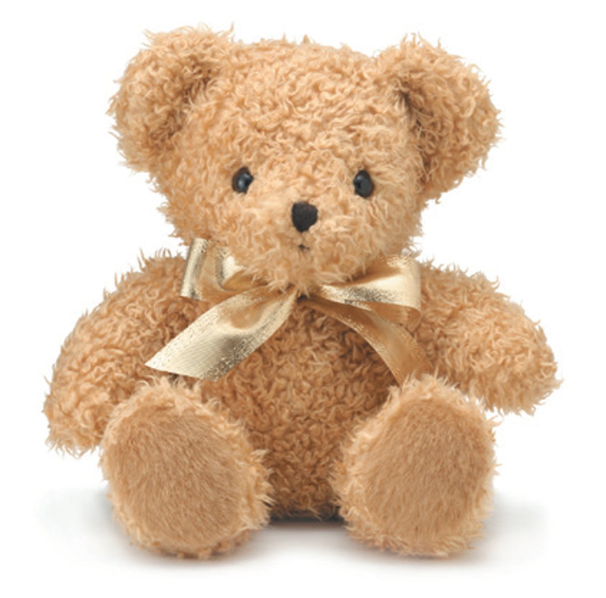 <p>stuffed animal (teddy bear)</p>